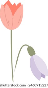Spring Flowers Plant Vector Illustration