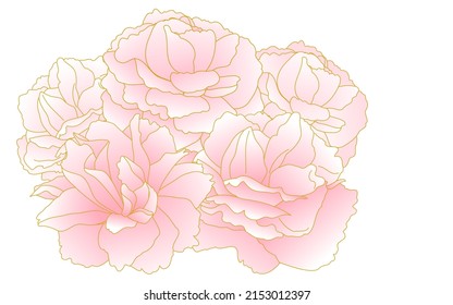 Frühlingsblumen und -pflanzen, Klumps von rosafarbenen, zweiblütigen Kirschen (Kirschen aus der Perone).