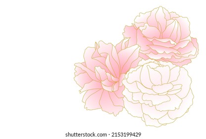 Spring flowers and plants, clumps of pink-gradient double-flowered cherry (peony cherry).