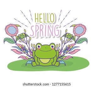 spring flowers plants leaves and frog