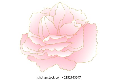 Flores y plantas de primavera, cerezo de doble flor de gradiente rosa (cereza de peonía).