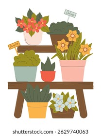 Flores de primavera e plantas em vasos com solo na prateleira de madeira. Suporte de madeira com aipo em vaso e vegetação de salsa, narcisos e flor de jasmim. Conceito de jardim doméstico. Ilustração de vetor plano.