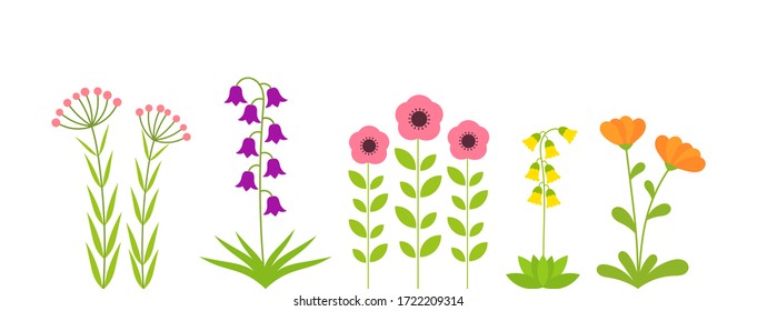 Spring flowers plants set. Vector illustration.