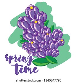 Spring flowers postcard