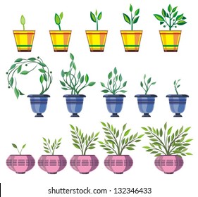 Spring Flowers In Pots