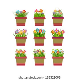 Spring Flowers In Pots