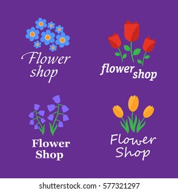 Spring flowers in pots and flower. Flowers shop. Spring flowers vector