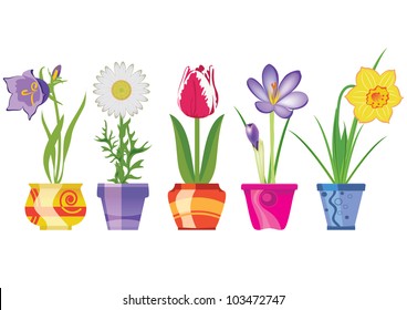 Spring Flowers In Pots, Isolated On White Background, Vector Illustration