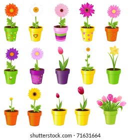 Spring Flowers In Pots, Isolated On White Background, Vector Illustration