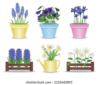 Spring flowers in pots set of flat isolated icons with plastic and wooden beds with flowers vector illustration