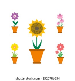 Spring Flowers In Pots. Vector Illustration