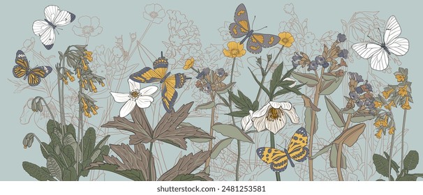 flores de primavera, prímula y anémonas, dibujo de Vector de plantas silvestres y mariposas en fondo azul claro , ilustración natural dibujada a mano