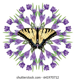 Spring flowers, purple blooming crocus or saffron design.