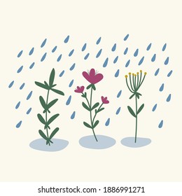 Spring flowers in the rain. Collection of plants under water drops. Flower and grow field, meadow. Natural spring motifs with a bouquet. Vector illustration