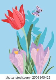 Flores de primavera, tulipanes rojos y azafranes, Vector dibujando plantas de flores silvestres y mariposa en el fondo azul del cielo, composición floral, ilustración botánica dibujada a mano