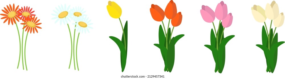 Spring flowers. Red white margaritas daisy flowers. Yellow red pink white tulips vector illustration set on white background. 