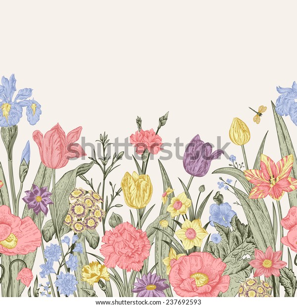 春の花 シームレスな花柄の境界 ベージュ背景にパステルポピー アイリス チューリップ カーネーション プリマローズ 水仙 ガーデンベッド ビンテージベクターイラスト のベクター画像素材 ロイヤリティフリー