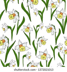 Spring flowers. Seamless pattern. Narcissus on white background.