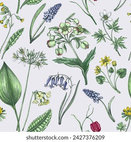 Spring flowers seamless pattern. Wildflowers background. Forest plant, greenery, wild flowers sketches. Hand drawn vector illustration. NOT  AI generated