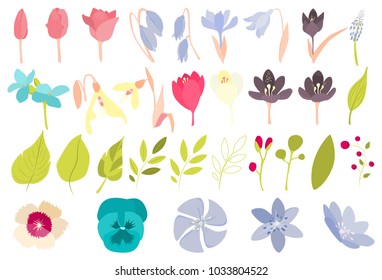 Spring flowers set. Beautiful colorful dlowers on white.