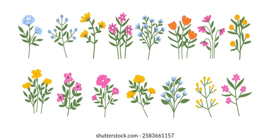 Spring flowers set collection. Various pink, yellow and blue flowers. 