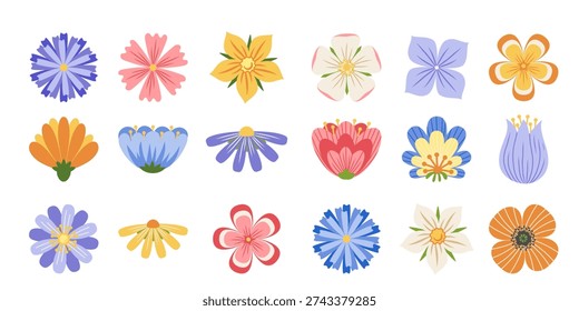 Spring flowers set. Colorful simple wildflower icon collection isolated on white. Folk botanical vector illustration.