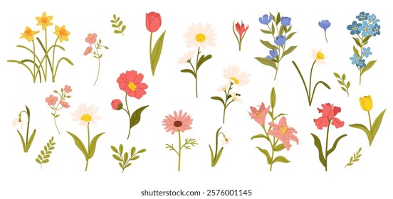 Spring flowers set. Floral botanical elements with cute spring flowers and leaves. Floral plant branches, stems with blooming blossoms and leaf. Tulips, snowdrops, crocuses, lilies. Flat vector