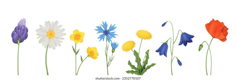 Spring flowers set with isolated realistic icons of small flowers petals and stalks on blank background vector illustration