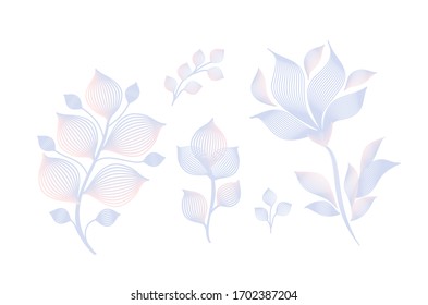 Spring flowers set on a white background. Flowers for a wedding invitation. Hand drawing vector illustration. Design for vintage packaging. Winter patterns on the window.