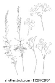 Spring flowers set. Outline hand drawing vector illustration.