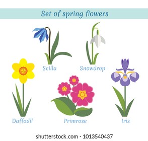 Spring flowers set. Scilla. Snowdrop. Narcissus. Primrose. Iris. Garden design icons isolated on white background. Flat style vector illustration