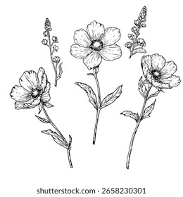 Spring flowers, set of silhouettes, black and white sketch. Vector illustration. Wild flowers with leaves, isolated on background. For invitations, cards for wedding, Valentine's Day and birthday