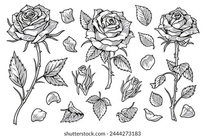 Conjunto de flores de primavera pegatinas monocromas con hermosas rosas en subgrupos y pétalos caídos en diferentes posiciones Ilustración vectorial