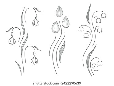 Spring flowers set with tulip, lily of the valley and snowdrop isolated on white background. Stylized flowers silhouette for greeting card, border, divider, interior design, ets. Vector illustration.