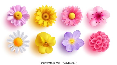 Spring flowers set vector design. Spring flower collection like daffodil, sun flower, crocus, daisy, peony and chrysanthemum fresh and blooming elements isolated in white background. Vector  - Shutterstock ID 2239869027