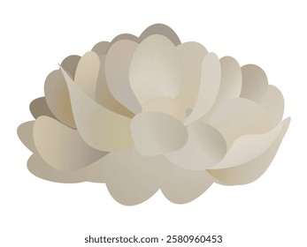 Spring flowers set vector design. Spring flower collection like daffodil, sun flower, crocus, daisy, peony and chrysanthemum fresh and blooming elements isolated in white background. Vector