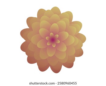 Spring flowers set vector design. Spring flower collection like daffodil, sun flower, crocus, daisy, peony and chrysanthemum fresh and blooming elements isolated in white background. Vector