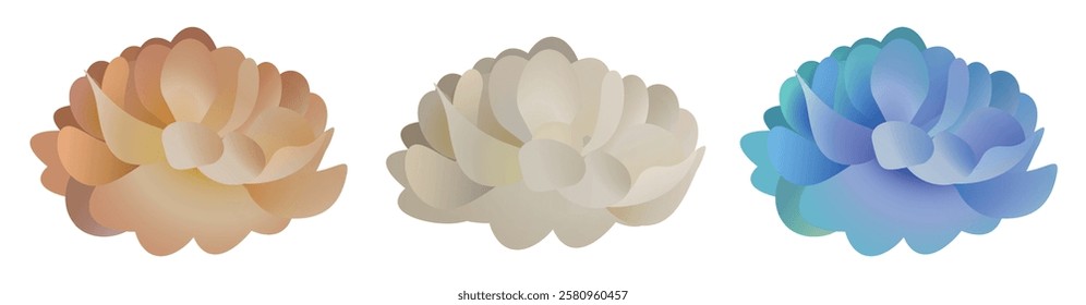 Spring flowers set vector design. Spring flower collection like daffodil, sun flower, crocus, daisy, peony and chrysanthemum fresh and blooming elements isolated in white background. Vector