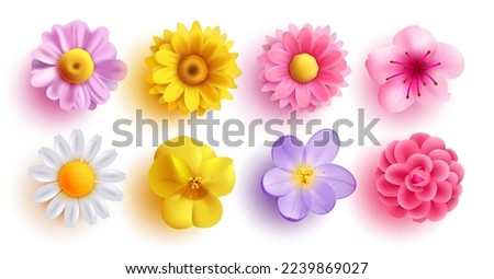 Similar – Image, Stock Photo Chrysanthemum in bloom with small closed flower