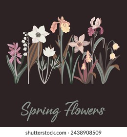 Spring flowers slogan and bouquet of wild flowers, vector drawing plants at white background, hand drawn botanical illustration