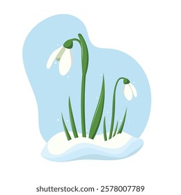 Spring flowers or snowdrop buds on blue background. Wild spring blooming flowers. Flat vector illustration	