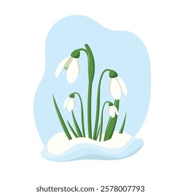 Spring flowers or snowdrop buds on blue background. Wild spring blooming flowers. Flat vector illustration	