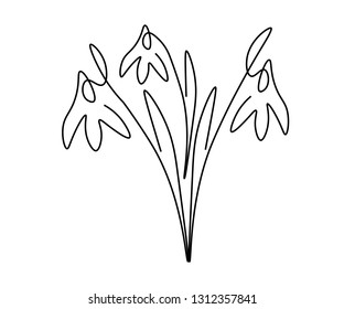 Spring flowers snowdrop one lines drawing, vector illustration.