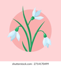 Flores de primavera gotas de nieve en círculo sobre fondo rosa. Tarjeta de felicitación floral delicada. Ilustración vectorial.