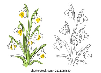 flores primaverales nevadas, ilustración vectorial, aisladas en fondo blanco