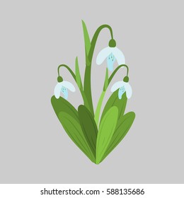 Spring flowers. Snowdrops vector sketch. For use as logos on cards, in printing, posters, invitations, web design and other purposes.