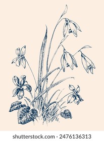 Spring flowers, snowdrops and violets sketch