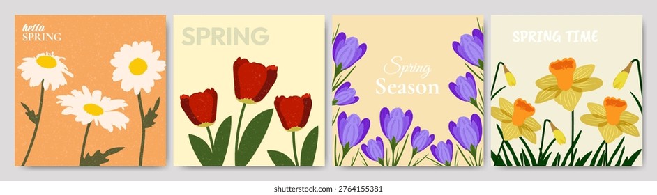 Spring flowers square templates set. Flat style vector illustration daisy tulip crocus daffodil floral collection, hand drawn botanical designs background