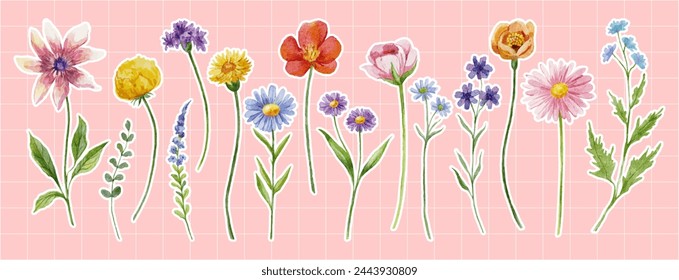 Pegatinas de flores de primavera sobre fondo rosa. Ilustración vectorial de acuarela