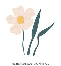 Spring flowers. Summer and spring blossom forest and garden flowers field isolated on white background. Floral and Nature springtime flower. Vector illustration flat